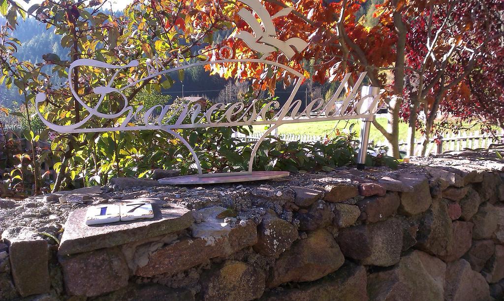 Bed and Breakfast Maso Franceschella Carano  Esterno foto