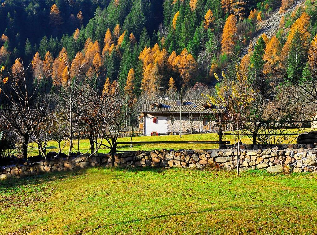 Bed and Breakfast Maso Franceschella Carano  Esterno foto